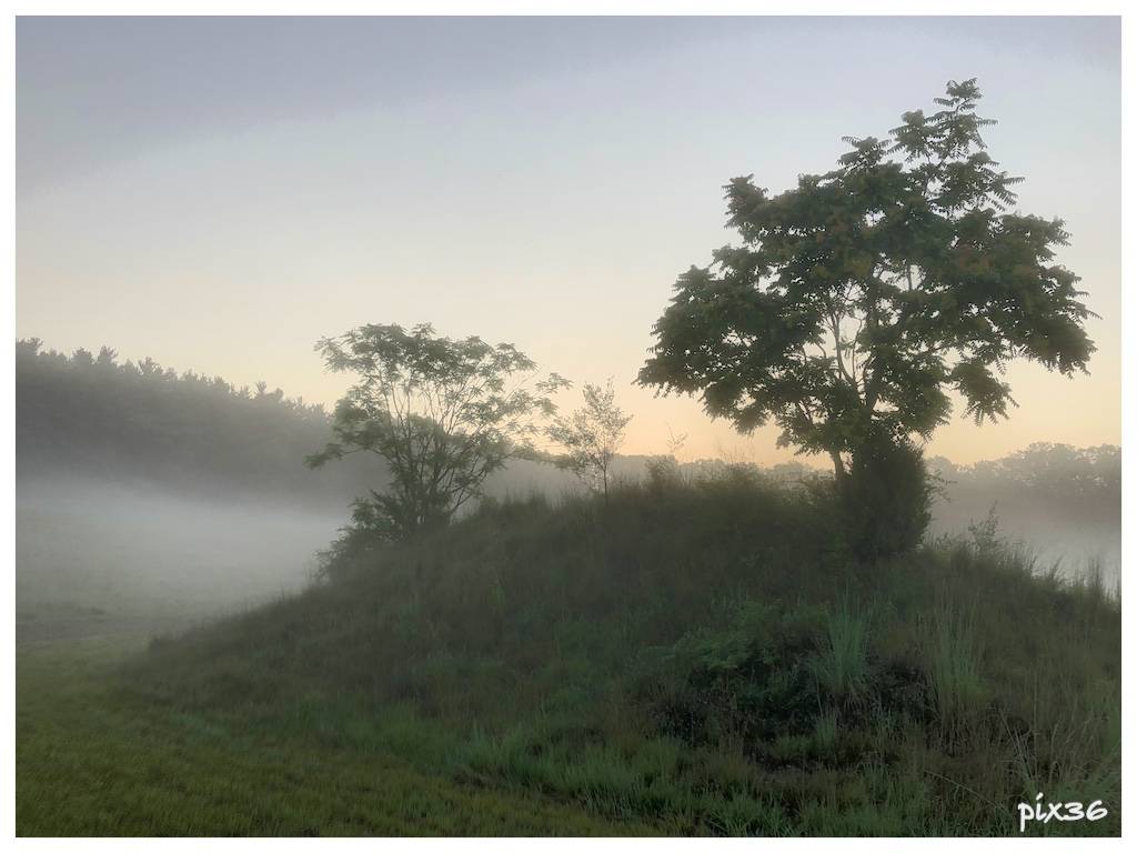 foggy-morning.jpg