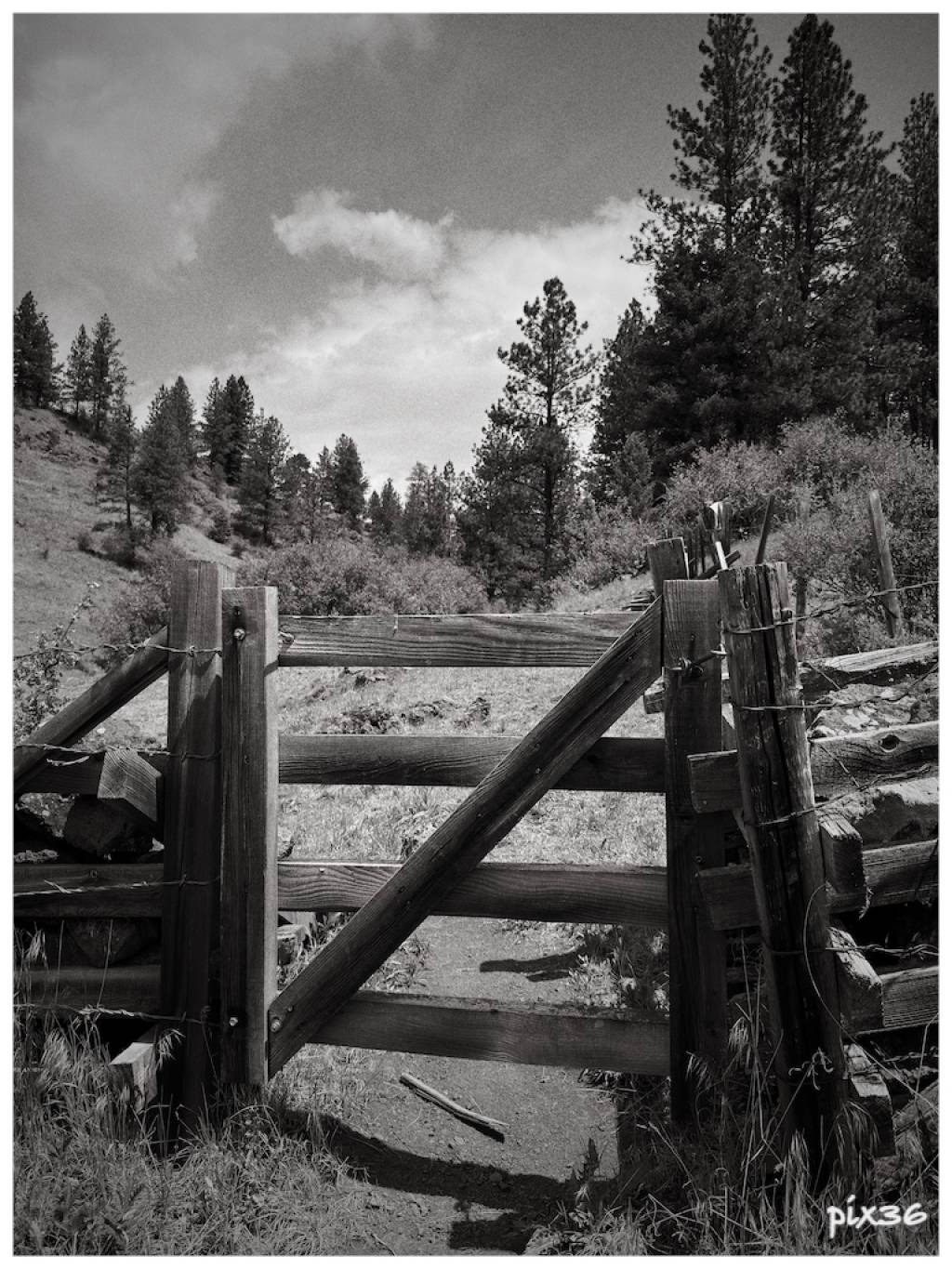 gate.jpg