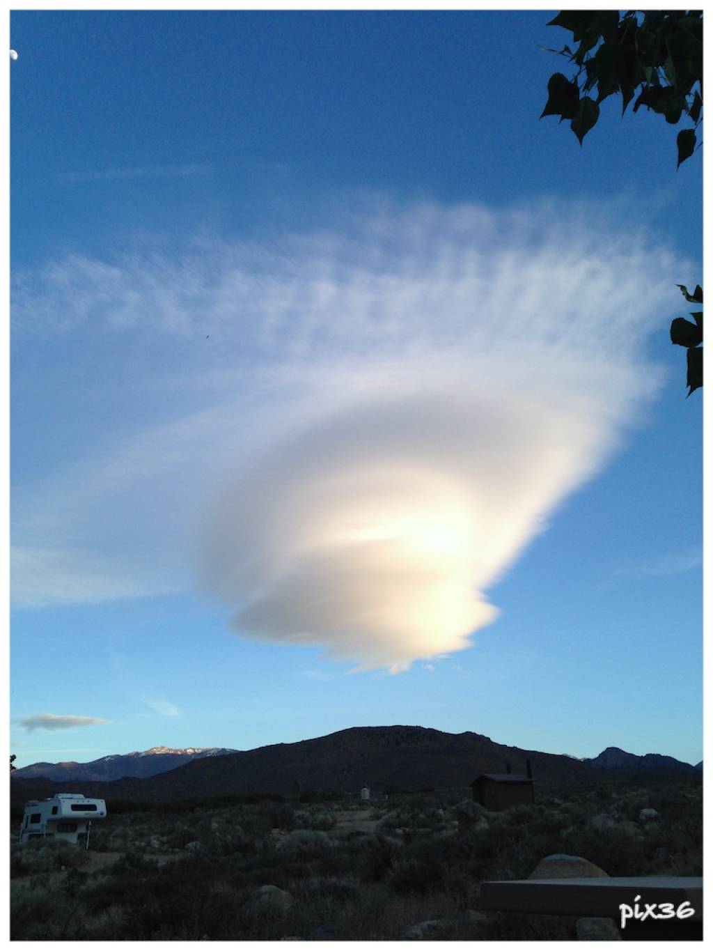 lenticular.jpg