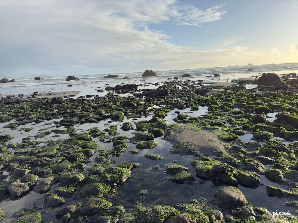 walk at low tide